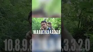 Папич считает от 10 до 1