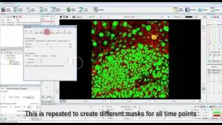 Analyze Intensity Information of Masked Regions of a 4D Sequence in FluoRender