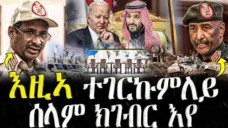 Dasna Tv | ( እዋናዊ ዛዕባ ) -  እዚኣ ተገርኩምለይ ሰላም ክገብር እየ