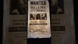 Magical Moving News Paper, Bellatrix Lestrange.