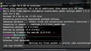 GlassWire Alternative for Ubuntu MX Linux CLI View Data Usage in Terminal