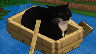 MEMES THAT IF YOU LAUGH YOU LOSE V1