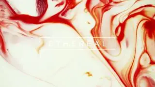 dreamkiddo. - telescope (feat. SITA)
