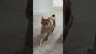 Runes are cunning)