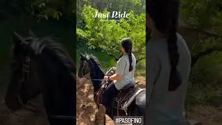 #weekendvibes #pasofino #horseriding #teachervlog