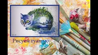 котик гуашшю