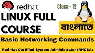 Linux Basic Networking Commands | Linux tutorial in Bengali