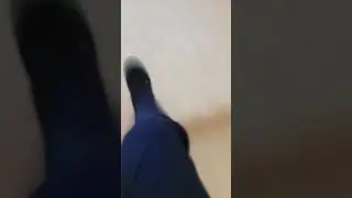 капибары захватили школу😱
