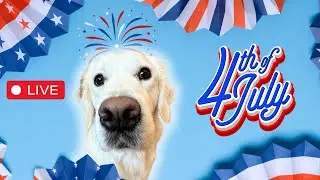 🔴LIVE - 4th of July Day Celebration With KODA!