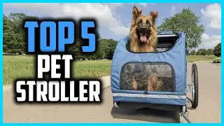 ✅Top 5 Best Pet Stroller in 2024