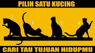 Cari tau tujuan hidupmu dari memilih gambar kucing. Tes Kepribadian