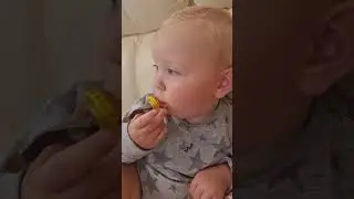 Лучшая соска. Соски не сосёт, но это пробка не отпускает.