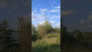 316. Ах, лето!!!
