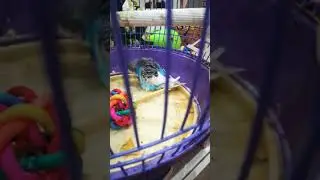 Любимая игрушка 😀😀😀