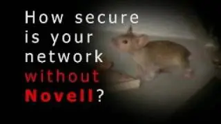 MouseTrap