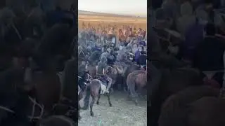 Купкари.Чопар Отлар.Узбек Купкари Чопкирлари. Ko'pkarini Videolari.Chopar Otlar.