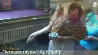 Краткий обзор путешествия с Артлайф Artlife
