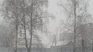 Салом Бо Барф Сарш Кард