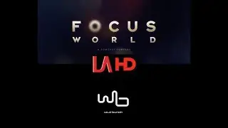 Focus World/Wild Bunch