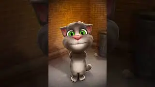 Talking Tom