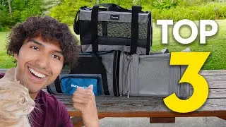 I Tried The Best Pet Carriers In 2024