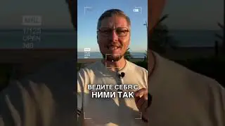 Секрет идеальных отношений с детьми. #воспитание #психология #дети