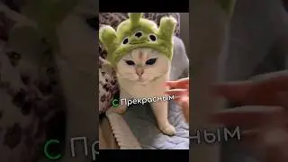 правильно сделала🤗