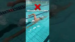 плавание с дыханием до и после