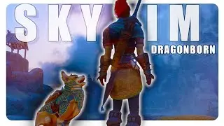 NEW Dragonborn Skyrim AE Modlist UPDATE || Beautiful Graphics & Performance