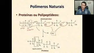 Macromoléculas - Polímeros Naturais  (RESUMÃO)