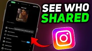 How To See Who Shared Your Reel On Instagram (2024)