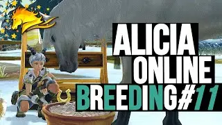 Alicia Online Breeding ｜Breeding Compilation #11
