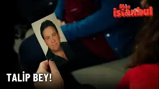 Şehriban'ın Talibi Talip Bey! - Ulan İstanbul Özel Klip
