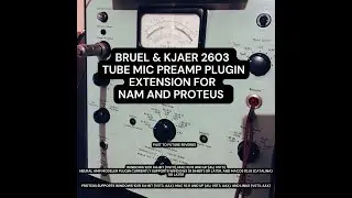 BRUEL & KJAER 2603 TUBE MIC PREAMP FOR NAM AND PROTEUS AU, VST3, AAX 