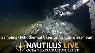 Sampling Hydrothermal Gases on Vailuluʻu Seamount  | Nautilus Live