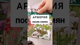 ARMERA SOWING SEEDS FOR SEEDLINGS 