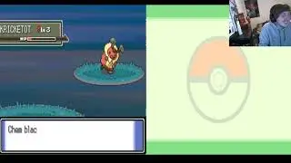 This is Why I Don't Nuzlocke Pokemon Games...