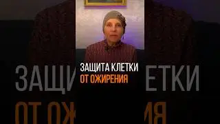 ЗАЩИТА КЛЕТКИ ОТ ОЖИРЕНИЯ. Инсулинорезистентность