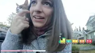 Neighborhood Cat wont take No for an Answer