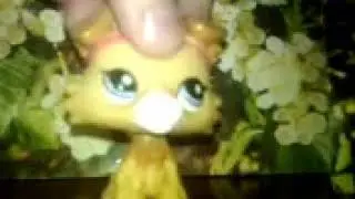 Lps новоти 😊😊😊☺