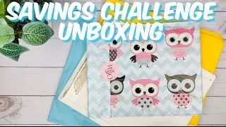 HUGE SAVINGS CHALLENGE UNBOXING | SMALL BUSINESS UNBOXING | CASH STUFFING COMMUNITY | ETSY