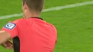 Wolfsburg-Fan hat die Schnauze voll