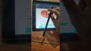 stylus pen 🧐 Flipkart smartBuy ID 713 Paisa barbad🖊️