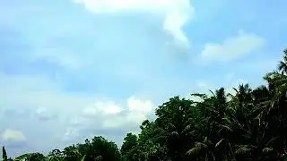 THE BACKGROUND OF THE RICE AND CLOUDS ARE VERY BEAUTIFUL