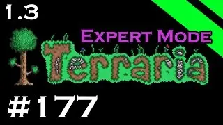 Let's Play Terraria 1.3 Expert Mode - Episode 177 - Turtle Shell Farming