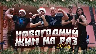 НОВОГОДНИЙ ЖИМ НА РАЗ!