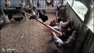 #Youtube