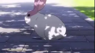 Anime meme