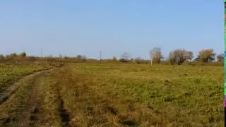 деревня Борки, Тюменская Область