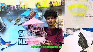 Hexagonal Shape Fancy cage